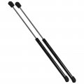 Qty 2 Strongarm 4589 Fits Quest 2004 To 2010 Rear Liftgate Supports 