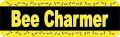 Stickertalk Bee Charmer Vinyl Sticker 10 Inches By 3 