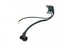 Ignition Coil Module Cdi For Harbor Freight Pacific Hydrostar 68371 1 In Water Pump