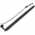 Ocpty Powered Lift Supports Gas Springs Struts Shocks A1568900230 A1569800764 27 18 14 Fit For Mercedes-benz Gla250 2015-2020