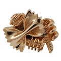 Vicenza Designs K1061 Pasta Knob Large Polished Gold 