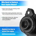 X Autohaux Engine Motor Mount 50821-saa-013 For Honda Fit 2007-2008 Front Right 1 Pcs