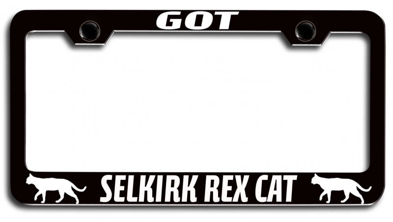 Selkirk Rex Cat Pets Black Metal License Plate Frame Heavy Duty Steel Tag Holder For Us And Canada Vehicles 12 5 X 6 In