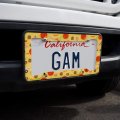 Combination Pizza Pattern With Pepperoni Olives And Onions License Plate Tag Frame