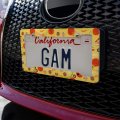 Combination Pizza Pattern With Pepperoni Olives And Onions License Plate Tag Frame