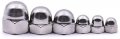 Guard4u 50pcs 6-kinds Sae Acorn Dome Cap Head Hex Nuts Assortment Kit -304 Stainless Steel 6-32 8-32 10-24 1 4-20 5 16-18 3 
