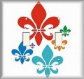 Snazzyswitch Fleur De Lis Decorative Light Switch Cover Double Toggle Wall Plate 