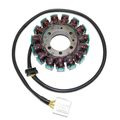 Electrosport Esg905 Stator Kawasaki Zx-14 Ninja 