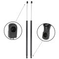 Liftgate Struts Lift Supports Gas Springs Ford Escape 2013 2014 2015 2016 2017 For Pm3775 Set Of 2 