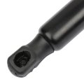 Liftgate Struts Lift Supports Gas Springs Ford Escape 2013 2014 2015 2016 2017 For Pm3775 Set Of 2
