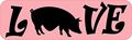 10in X 3in Love Pot Belly Pig Magnet Pet Bumper Magnets By Stickertalk 