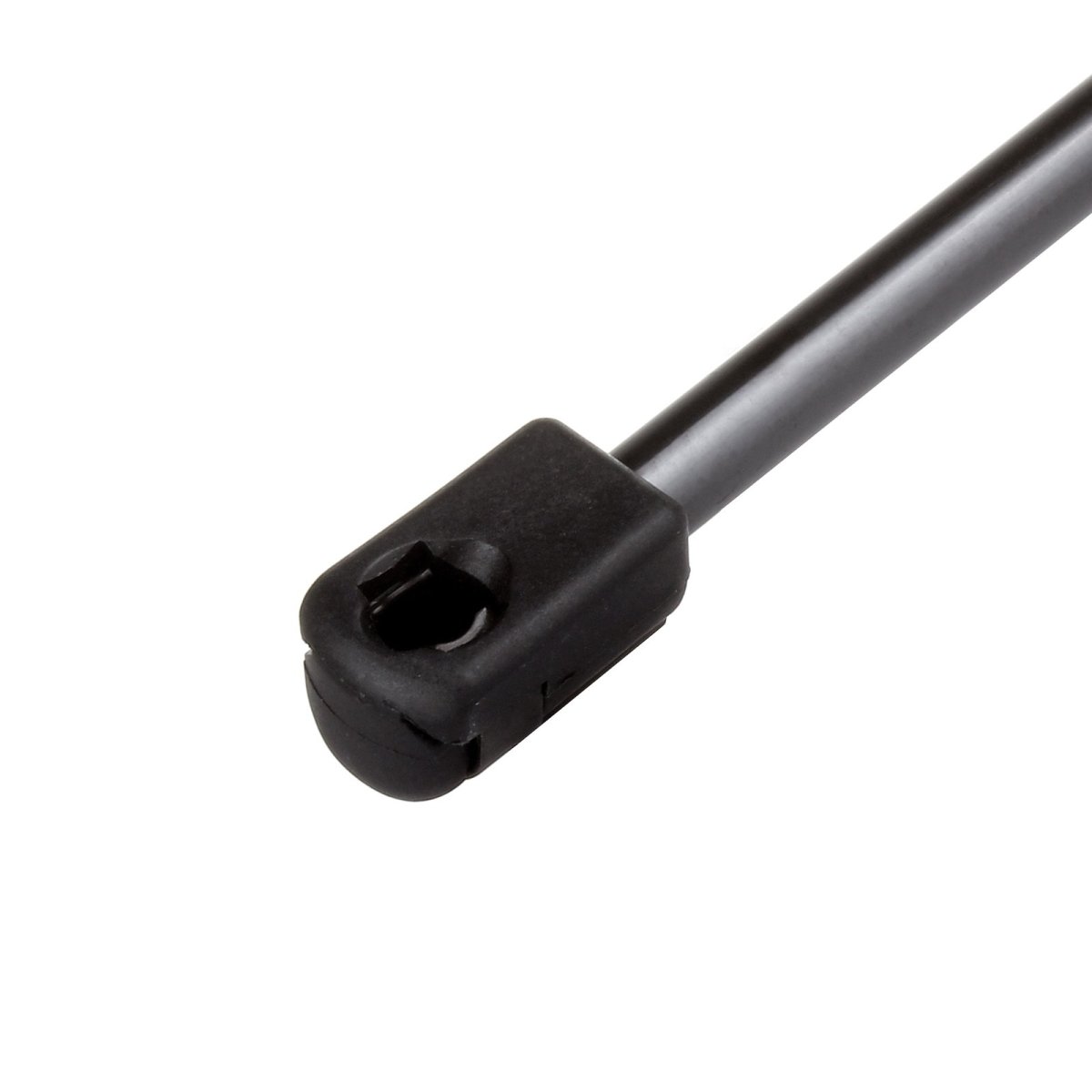 Lift Support Replacement For Toyota Matrix 2003 2004 2005 2006 2007 2008 Liftgate And Window Glass Gas Struts Pm2041 Sg329013