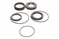 Replacementkits Com Brand Fits Honda Trx300 Trx300fw Rear Differential Seal Kit 