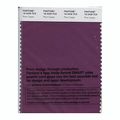 Pantone Smart Swatch 19-2429 Plum Caspia 