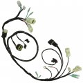 Caltric Wiring Harness Compatible With Honda Sportrax 250 Trx250x 2008