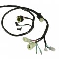 Caltric Wiring Harness Compatible With Honda Sportrax 250 Trx250x 2008
