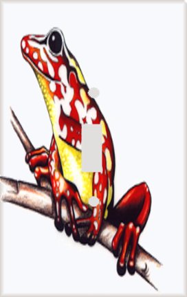 Colorful Tree Frog Decorative Switchplate Cover