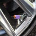 Phoenix Rising From The Flames Tire Rim Wheel Aluminum Valve Stem Caps