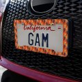 Fancy Cockatiels Birds Pattern License Plate Tag Frame