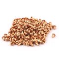 200 Pcs 1 8 X 5 32 Round Head Copper Solid Fasteners 