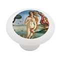 Birth Of Venus By Botticelli Decorative High Gloss Ceramic Drawer Knob 