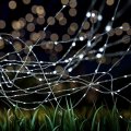 Pure Garden Cool White Outdoor Starry String Solar Powered Fairy 200 Led 8 Lighting Modes For Patio Backyard Events 463 X0 1 
