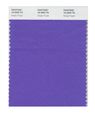 Pantone 18-3940 Nylon Brights Color Swatch Card 