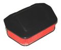 Hiflofiltro Hfa4919 Premium Oe Replacement Air Filter 