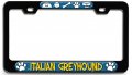 Italian Greyhound Dogs Pets 3d Metal License Plate Frame Universal Fit For Auto Suv And Truck Tag Holder 12 In X 6 Heavy Duty 
