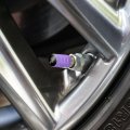 Crappie Illustration 2 Valve Stem Caps For Tire Rim Wheel Aluminum Purple