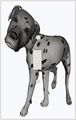 Mega Noggin Dalmatian Dog Breed Decorative Switchplate Cover 