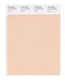 Pantone Smart 13-1109x Color Swatch Card Bisque 