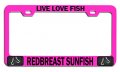 Live Love Fish Redbreast Sunfish Fishing Pink Metal License Plate Frame Tag Holder O30 