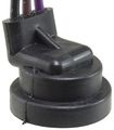 Airtex 1p1277 Pigtail 