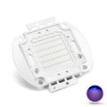 Chanzon High Power Led Chip 50w Purple Ultraviolet Uv 395nm 0ma Dc 30v 34v 50 Watt Smd Cob Light Emitter Components Diode 50 W 
