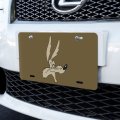 Graphics More Looney Tunes Wile E Face Novelty Metal Vanity Tag License Plate 