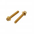 Uxcell 6pcs Gold Tone Stainless Steel Motorcycle Bolts Screws Fastener M6 X 35mm