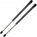 Window Glass Lift Supports Gas Springs Struts Shocks For Mitsubishi Endeavor 2004-2011 