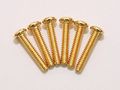 Height Adjustment Screws For Strat Or Tele- Set Of 6- Gold 