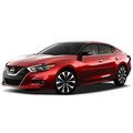 Dawn Enterprises Fe-max16 Finished End Body Side Molding For Nissan Maxima Merlot Nab 