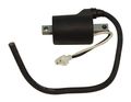 Nachman Sm-01114 Ignition Coil Polaris 