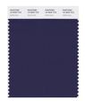 Pantone Smart 19-3830x Color Swatch Card Astral Aura 