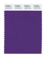 Pantone 19-3638 Tcx Smart Color Swatch Card Tillandsia Purple 
