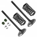 Caltric 2x Exhaust Valve Kit Compatible With Honda Crf450x 2005 2006 2007 2008 2009 2012 2013-2017 
