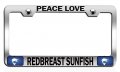 Peace Love Redbreast Sunfish Fishing Chrome Metal License Plate Frame Tag Holder K2 
