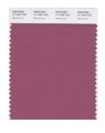 Pantone Smart 17-1522x Color Swatch Card Mauvewood 