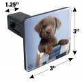 Chocolate Lab Labrador Deckchair Lounge Chair Tow Trailer Hitch Cover Plug Insert