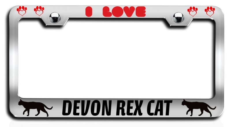 I Love Devon Rex Cat Chrome Metal License Plate Frame Universal Fit For Cars Trucks And Suvs 12 5 X 6 In Heavy Duty Steel Tag