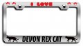 I Love Devon Rex Cat Chrome Metal License Plate Frame Universal Fit For Cars Trucks And Suvs 12 5 X 6 In Heavy Duty Steel Tag
