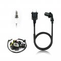 Ignition Coil Stator Spark Plug Fora Honda Xr50 R 2000-2003 Xr70 1997-2003 30510-gel-700 30510-gcf-a20 30510-gcf-000 